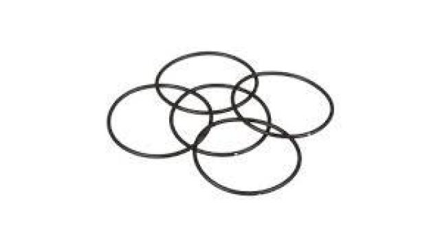 Garnitura O-ring New Holland CNH 271624