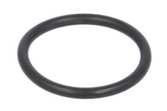 Garnitura O-R ing 100748A1