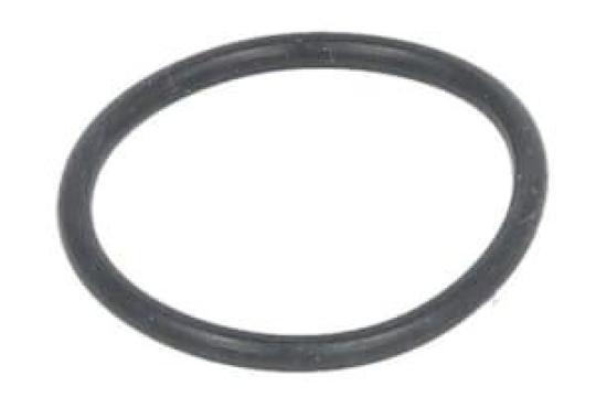 Garnitura O-ring 6194720M1