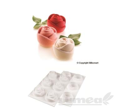 forme silicon