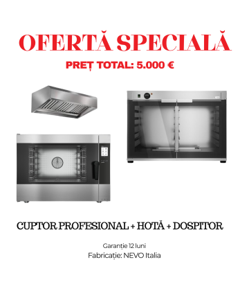 Cuptor profesional + hota + dospitor